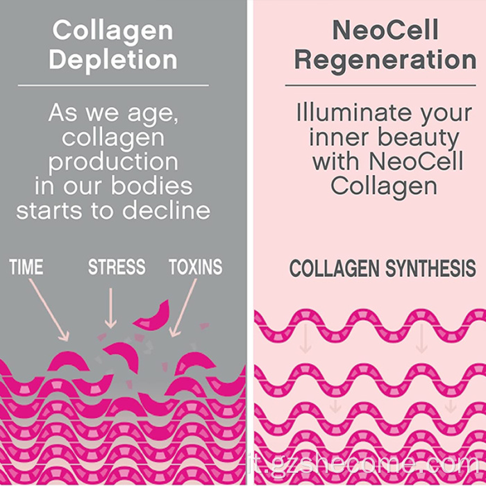 PILLE MULTI COLLAGEN STUBILE CANDE MULTI COLLAGEN COMPRENSI